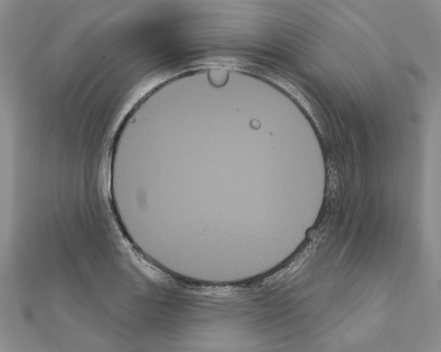 X0000111051131200908061512