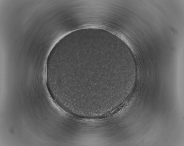 X0000111051132200908061512