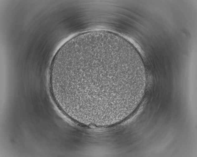 X0000111051134200908061512