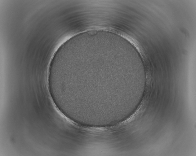 X0000111051135200908061512