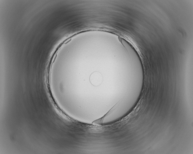 X0000111051136200908061512