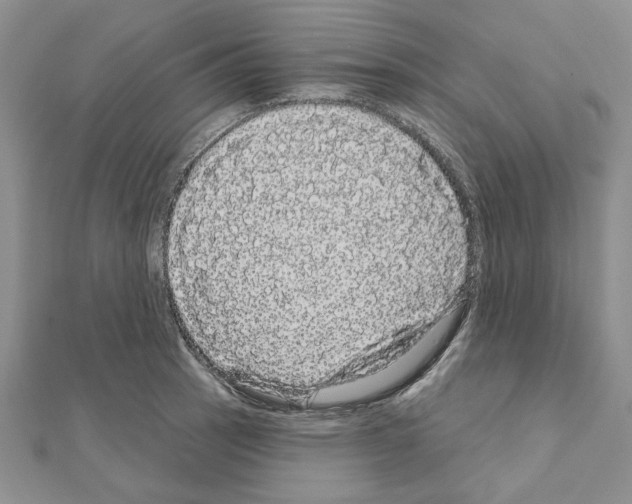 X0000111051137200908061512