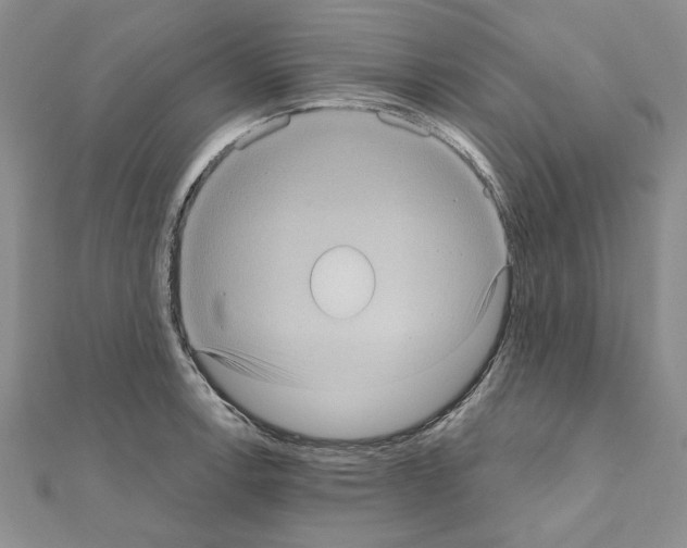 X0000111051138200908061512