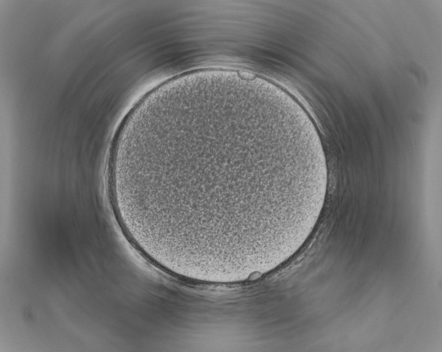 X0000111051139200908061512