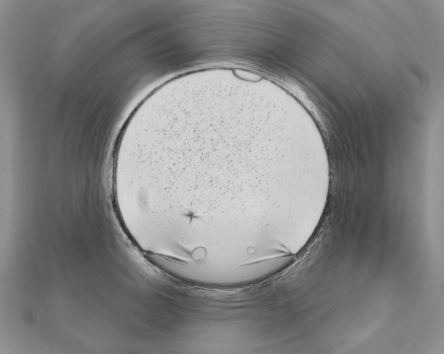 X0000111051140200908061512