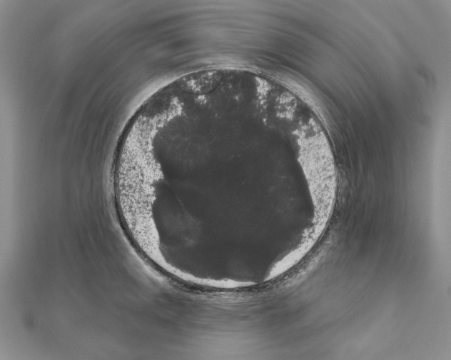 X0000111051141200908061512