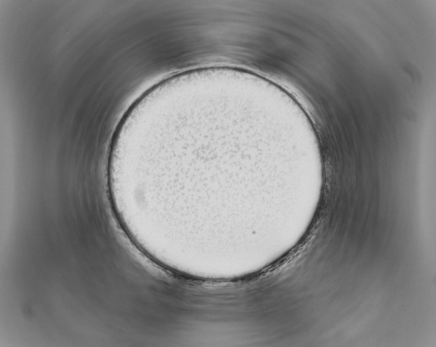 X0000111051142200908061512