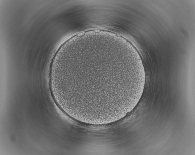 X0000111051143200908061512