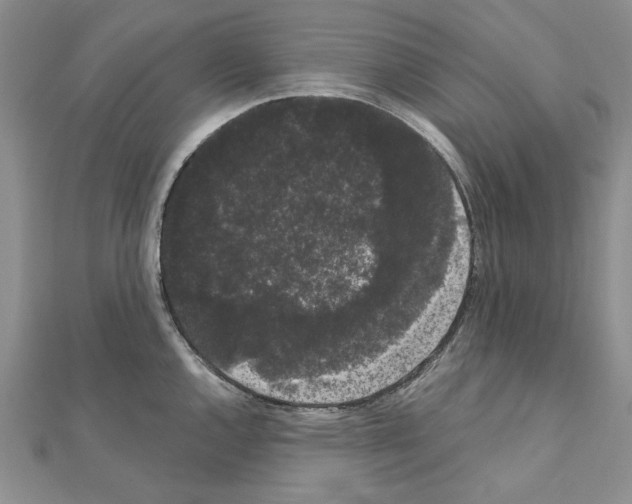 X0000111051144200908061512