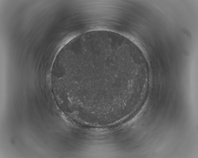 X0000111051145200908061512