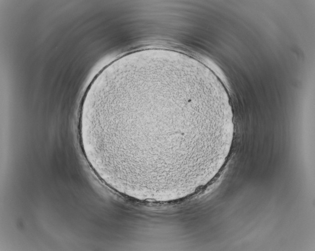 X0000111051146200908061512