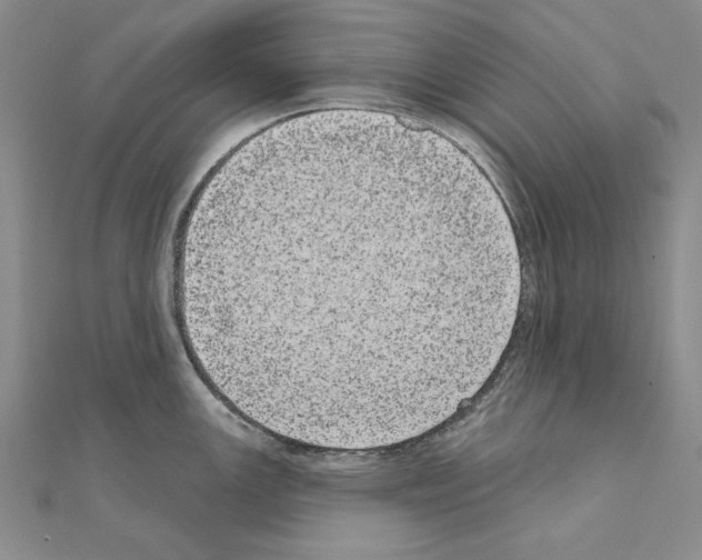 X0000111051147200908061512