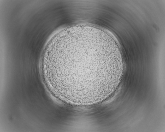 X0000111051149200908061512