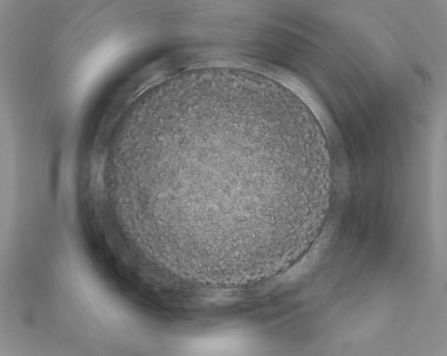 X0000111051150200908061512