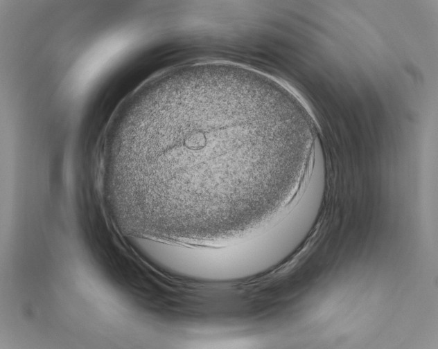 X0000111051151200908061512