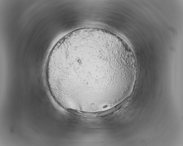 X0000111051152200908061512