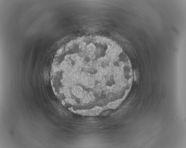 X0000111051155200908061512