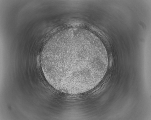 X0000111051156200908061512