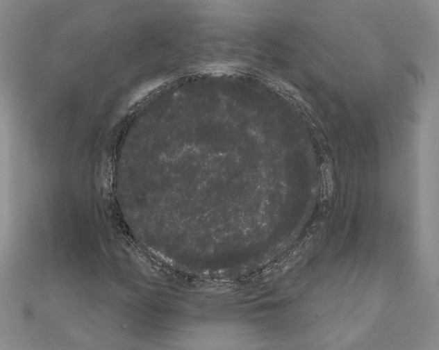 X0000111051158200908061512