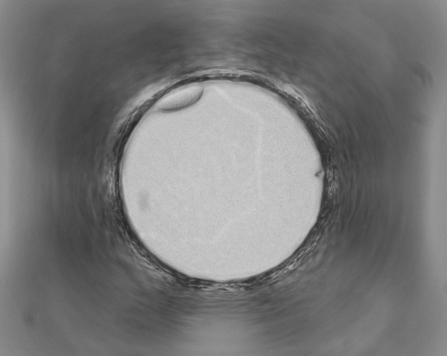 X0000111051159200908061512