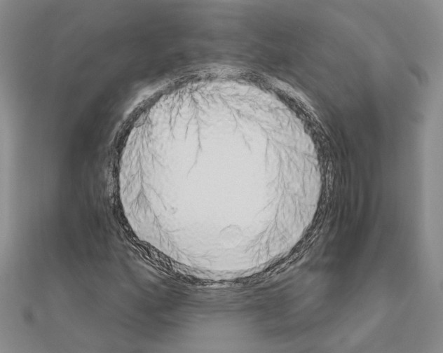 X0000111051160200908061512