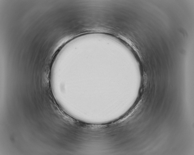 X0000111051163200908061511