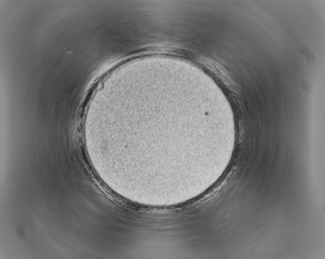 X0000111051164200908061511