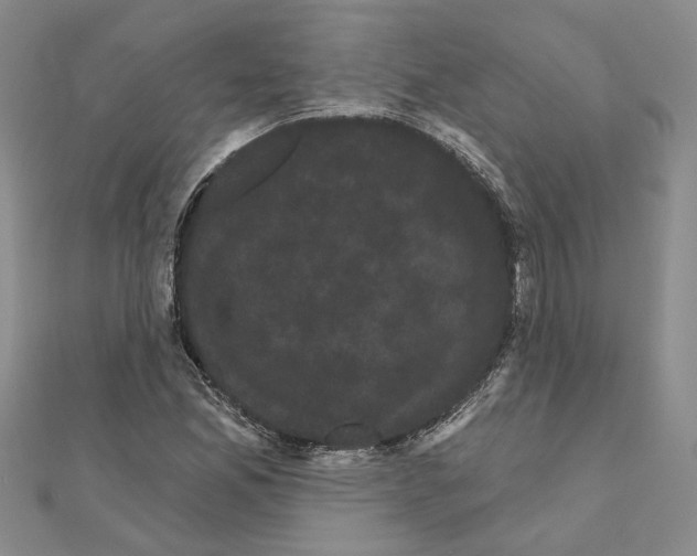 X0000111051165200908061511