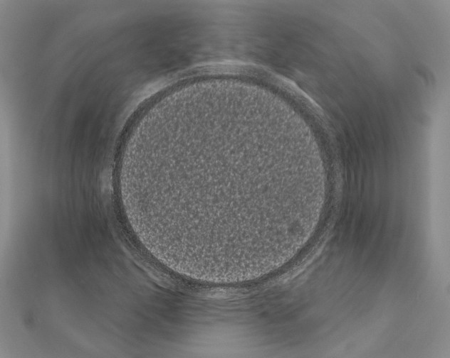 X0000111051166200908061511