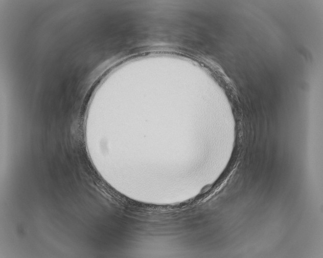 X0000111051167200908061511