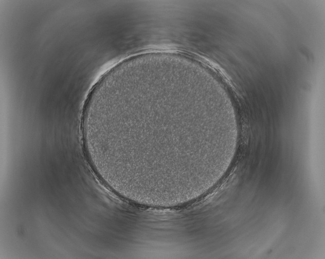 X0000111051168200908061511