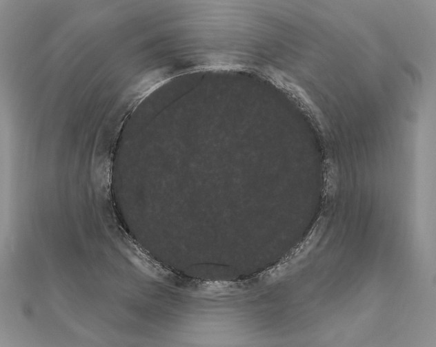 X0000111051169200908061511