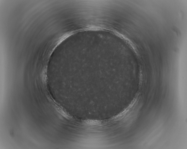 X0000111051170200908061511