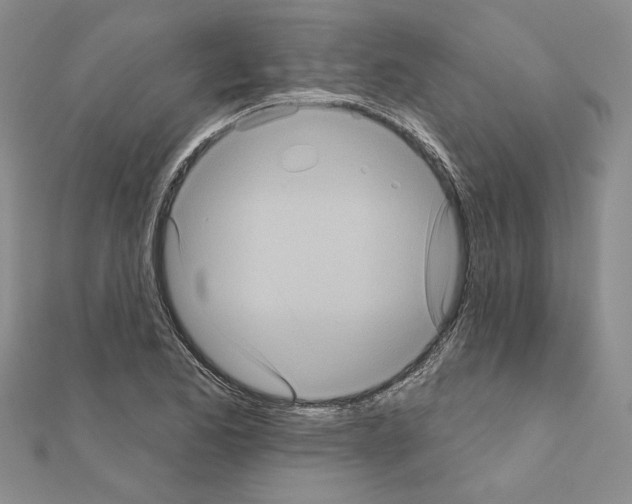 X0000111051173200908061511