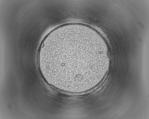 X0000111051175200908061511