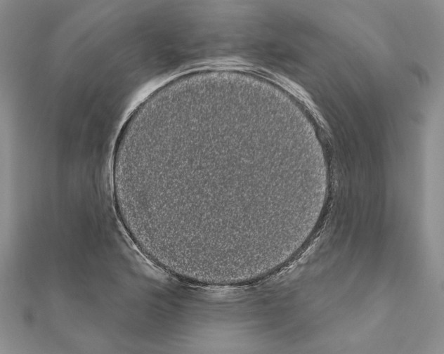 X0000111051176200908061511