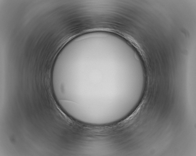 X0000111051177200908061511