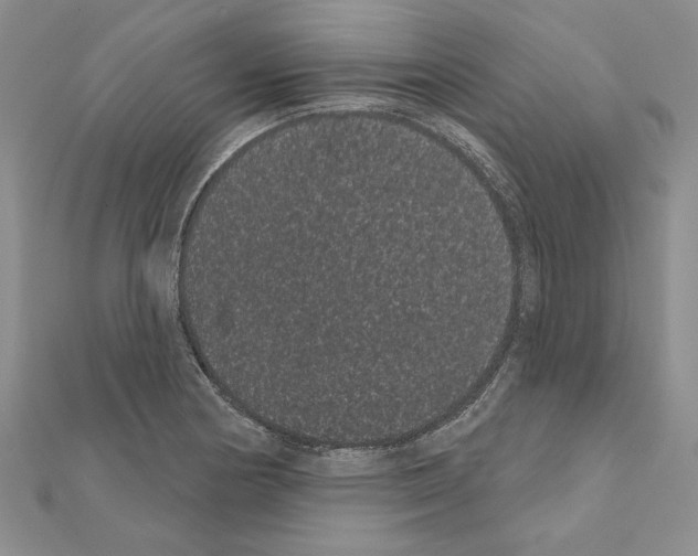 X0000111051178200908061511