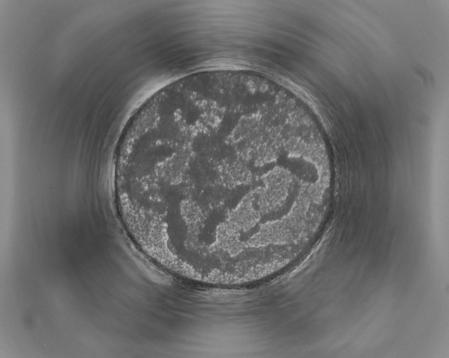 X0000111051179200908061511