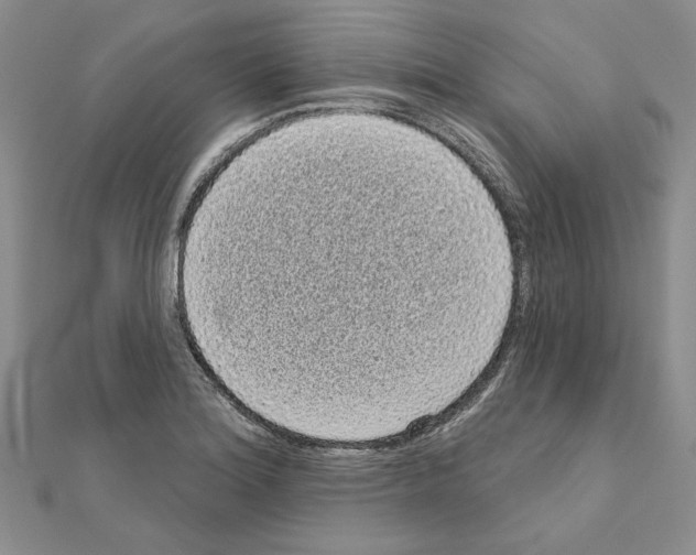 X0000111051180200908061511