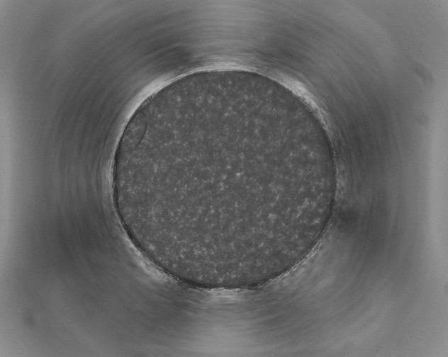 X0000111051181200908061511