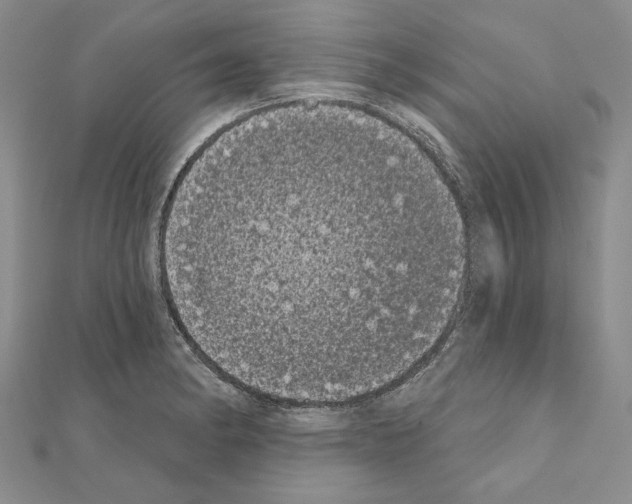 X0000111051182200908061511