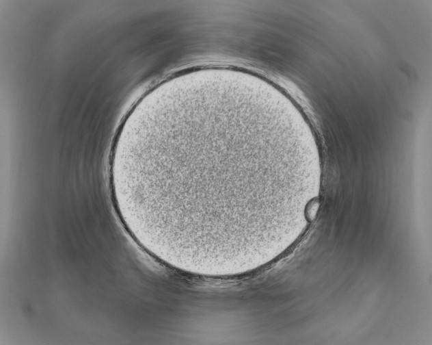 X0000111051183200908061511