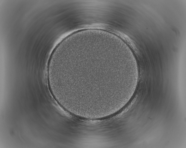 X0000111051184200908061511