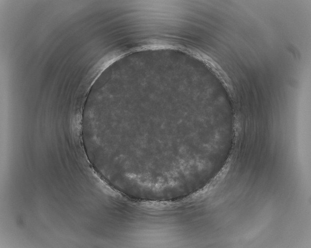 X0000111051185200908061511