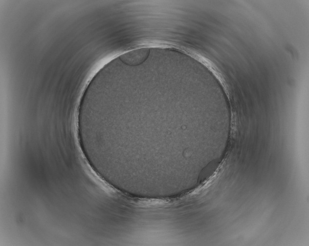 X0000111051187200908061511