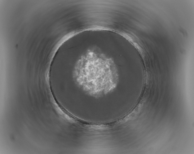 X0000111051189200908061511