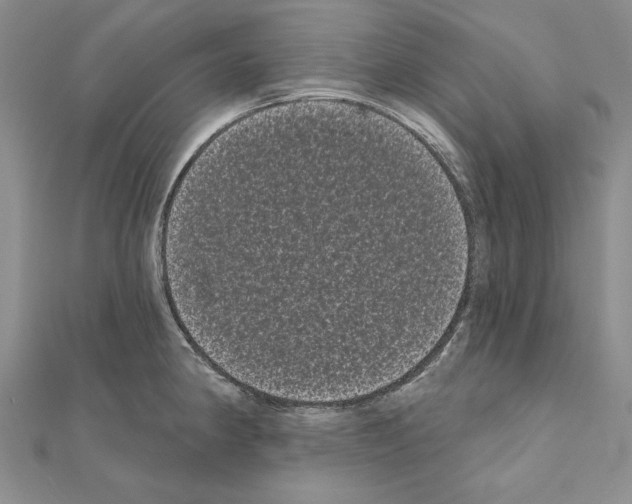 X0000111051190200908061511