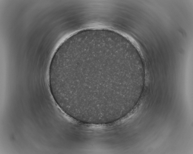 X0000111051191200908061511