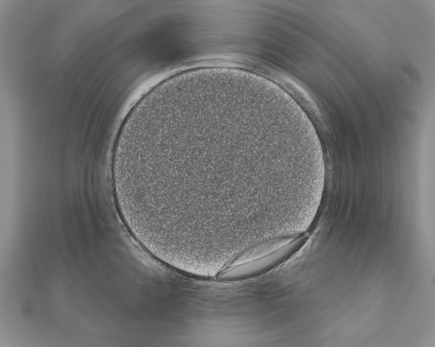 X0000111051192200908061511